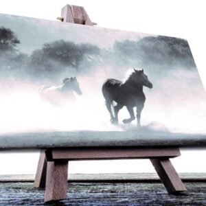 Cuadro Decorativo Corcel Negro