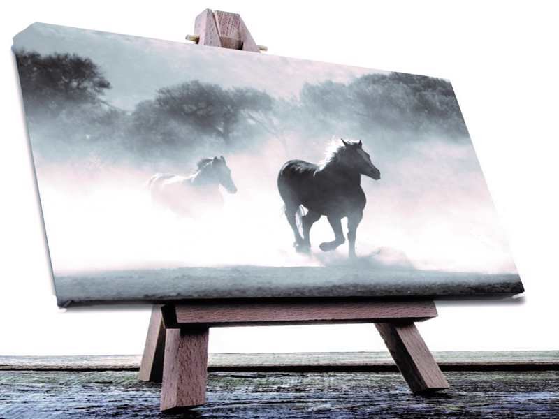 Cuadro Decorativo Corcel Negro