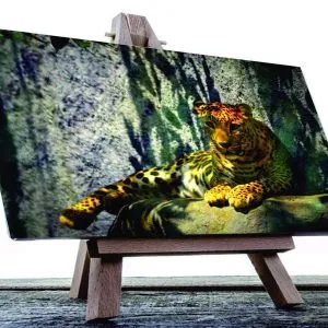 Cuadro Decorativo Leopardo