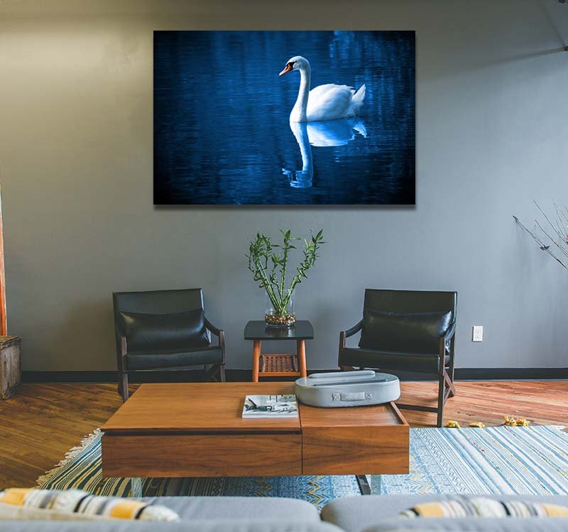Cuadro Decorativo Hermoso Cisne - Imagen 2