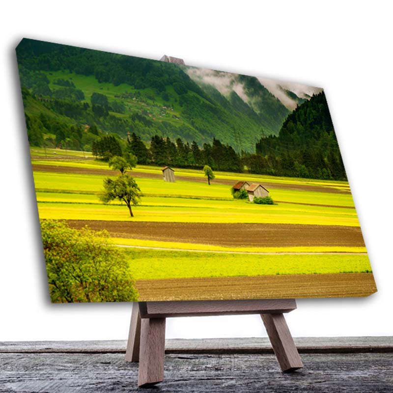 Cuadro Decorativo Cabañas en la Pradera.