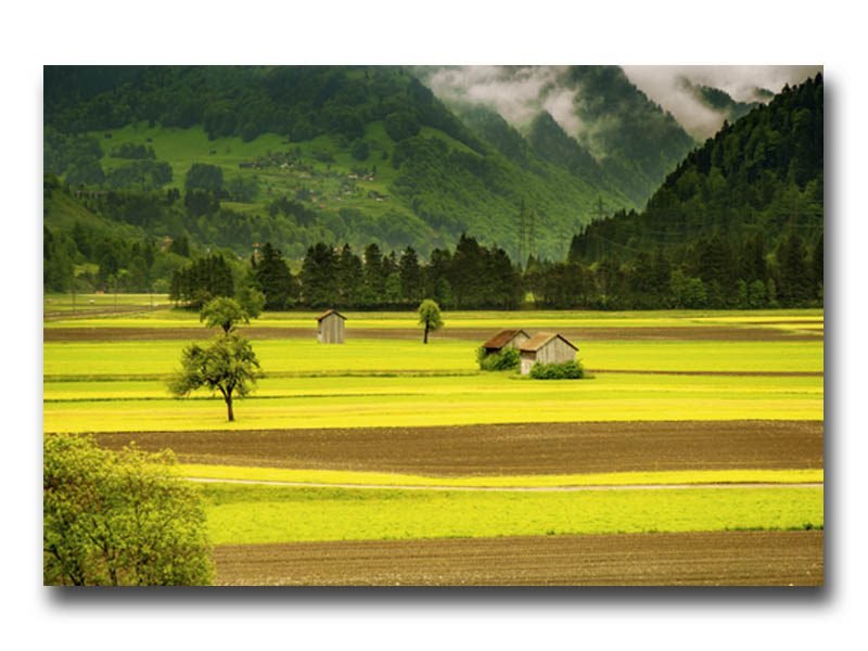 Cuadro Decorativo Cabañas en la Pradera. - Imagen 4