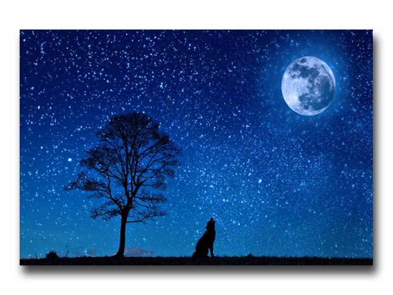 Cuadro Decorativo Lobo y la Luna - Imagen 4