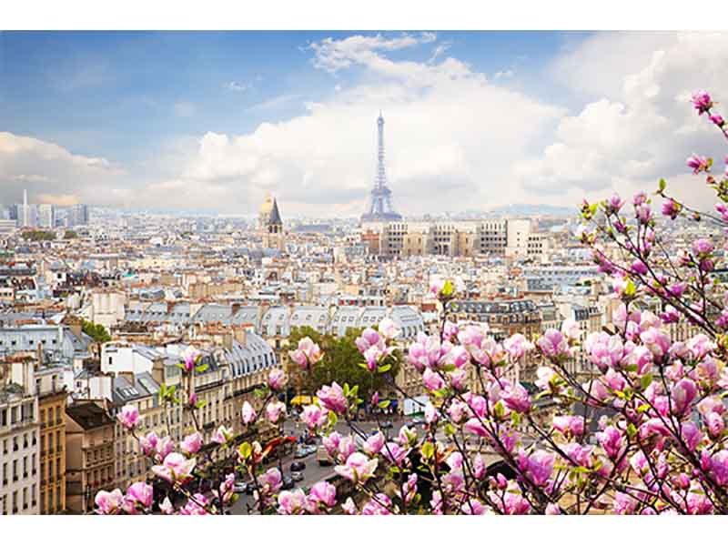 Cuadro Decorativo Hermosa Vista de Paris - Imagen 4