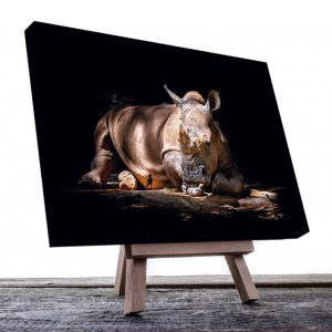 Cuadro Decorativo Rinoceronte Acostado