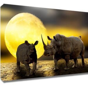 Cuadro Decorativo Rinocerontes en el Atardecer