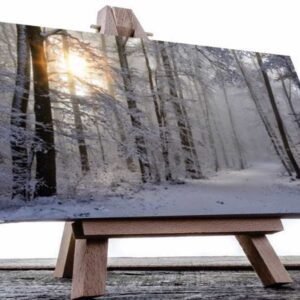 Cuadro Decorativo Bosque en Invierno