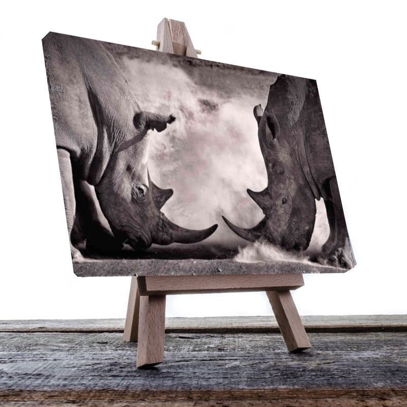 Cuadro Decorativo Rinocerontes en Batalla