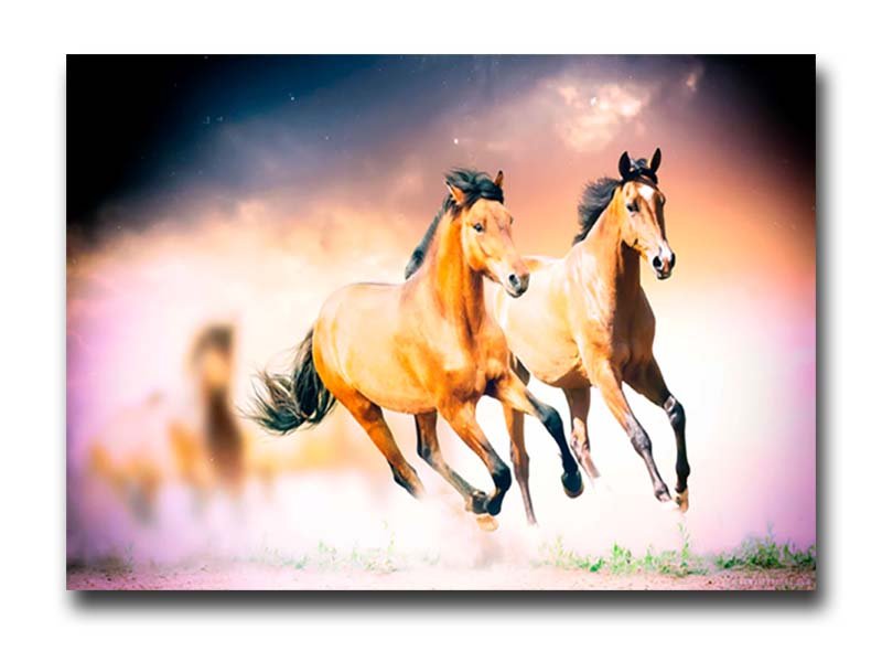 Cuadro Decorativo Par de Caballos Galopando - Imagen 4