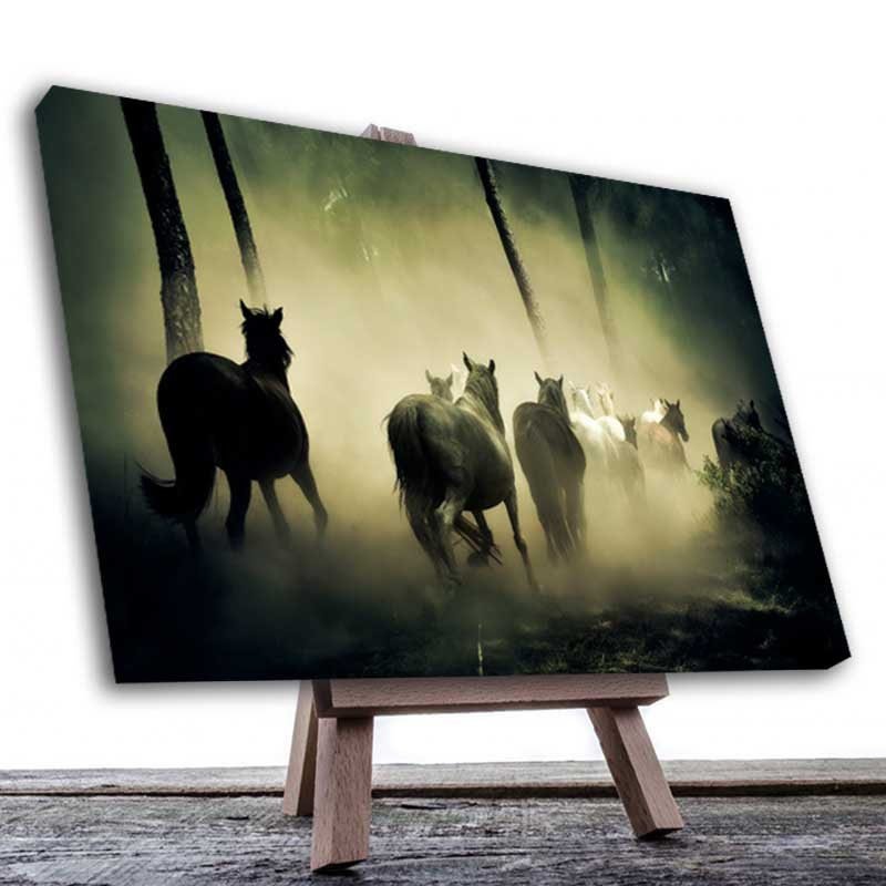 Cuadro Decorativo Caballos en el Bosque