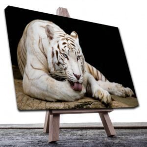 Cuadro Decorativo Canvas Paisaje de Tigre Blanco