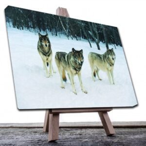 Cuadro Decorativo Canvas Paisaje de Lobos