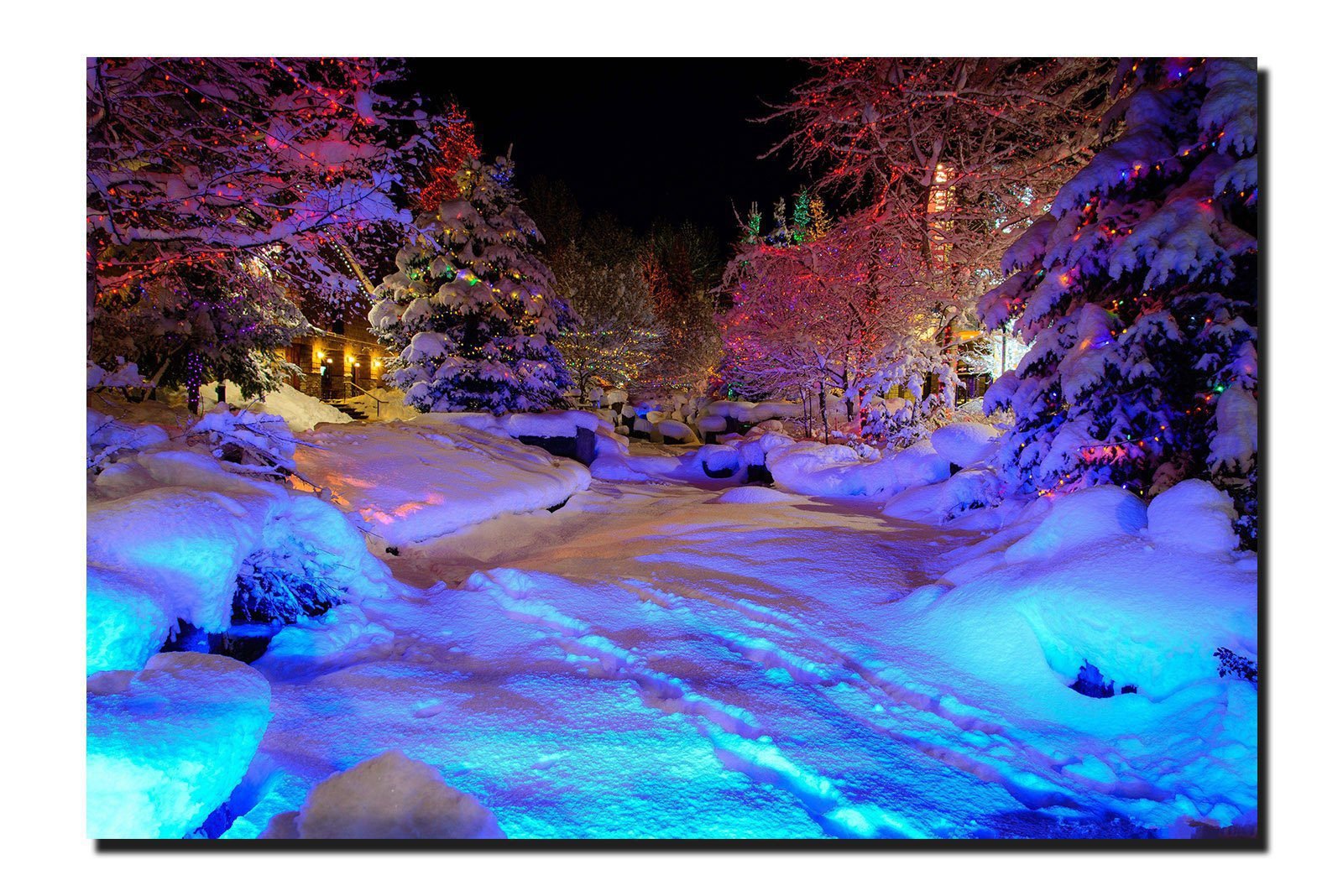 Cuadro Decorativo Canvas Paisaje Bosques Nevado de Noche - Imagen 2