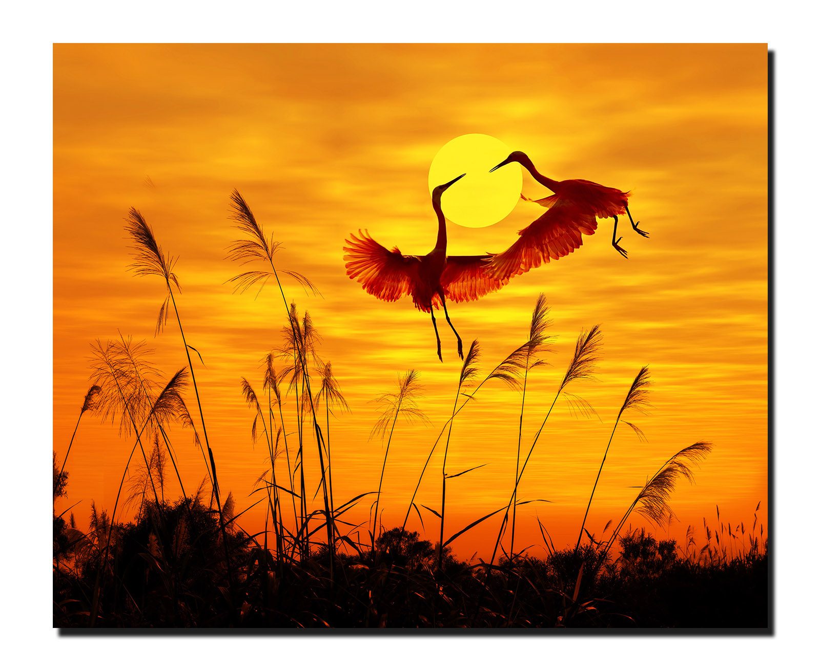 Cuadro Decorativo Canvas Paisaje Del Atardecer con Garzas - Imagen 2
