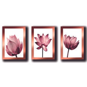Cuadros Decorativos Set de 3 pzs Canvas de Flores
