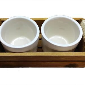 Juego de Macetas con Huacal Rustico