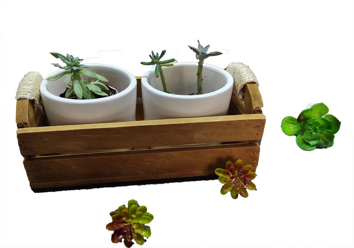 Juego de Macetas con Huacal Rustico - Imagen 6