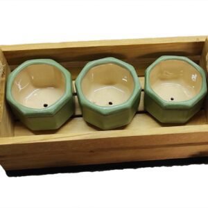 Juego de Macetas Geométricas con Huacal Rustico