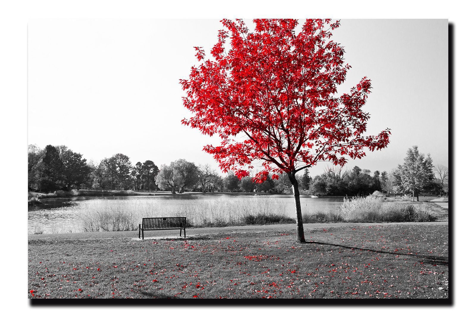 Cuadro Decorativo Árbol Blanco Y Negro Con Vivos Rojos #8 - Imagen 4
