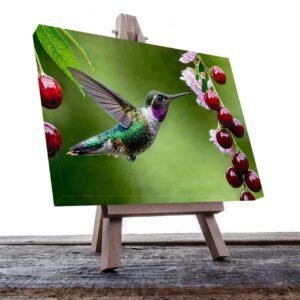 Cuadro Decorativo Canvas Colibrí volando Comiendo Cerezas con fondo verde