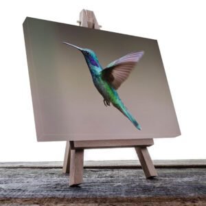 Cuadro decorativo Colibrí azul y verde #29