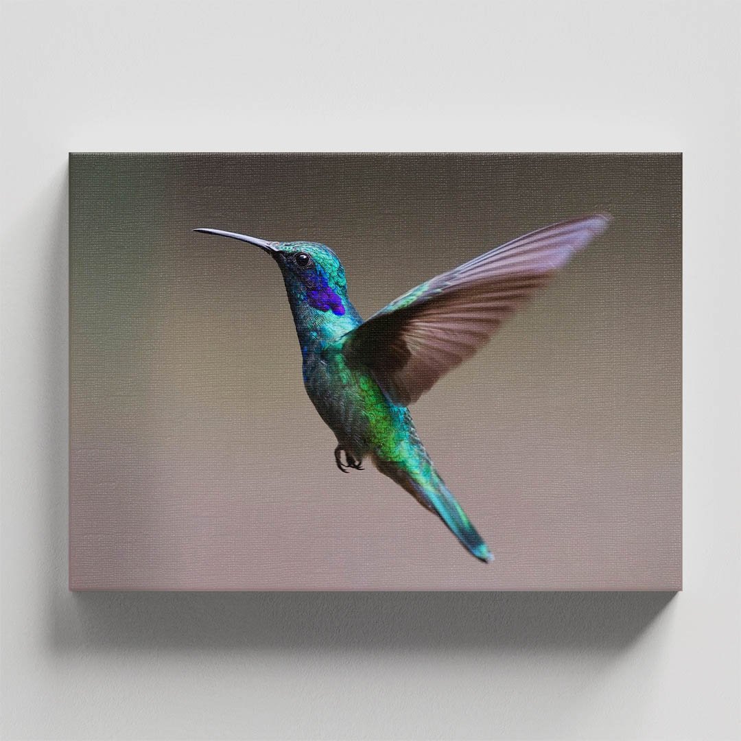 Cuadro decorativo Colibrí azul y verde #29 - Imagen 4