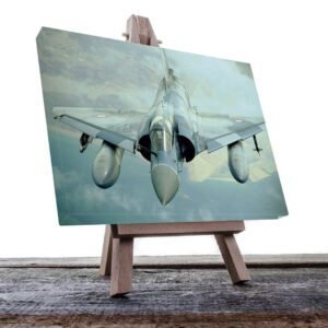 Cuadro Decorativo Avión Jet de Guerra #15