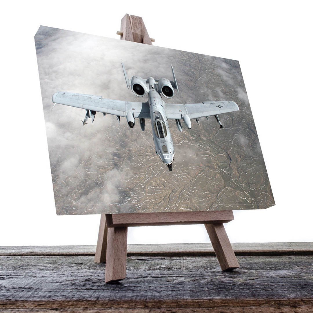 Cuadro Decorativo Avión Jet de Guerra #16