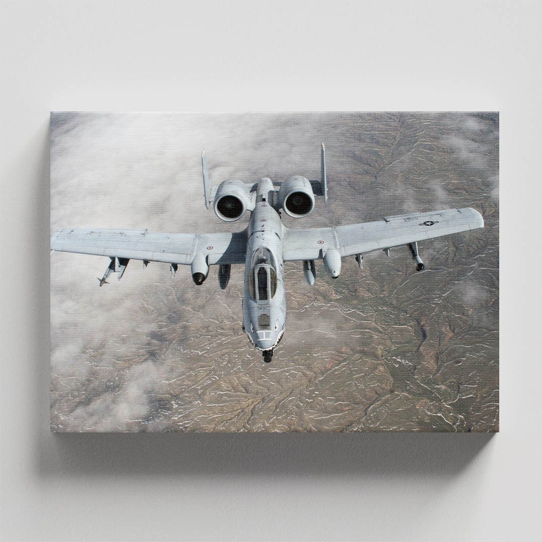 Cuadro Decorativo Avión Jet de Guerra #16 - Imagen 4