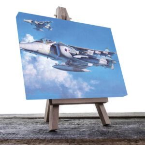 Cuadro Decorativo Avión Jet de Guerra #20