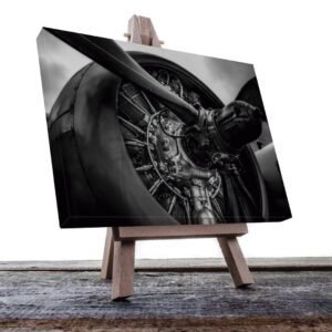 Cuadro Decorativo Avión motor de Hélice