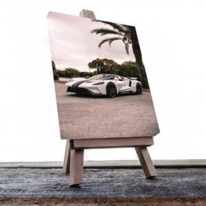 Cuadro Decorativo de Automóvil Deportivo Ford Blanco #47