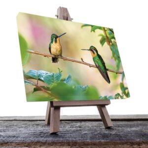 Cuadro decorativo Colibrís amarillos y verdes