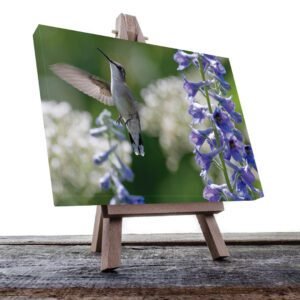 Cuadro decorativo Colibrí con flores moradas