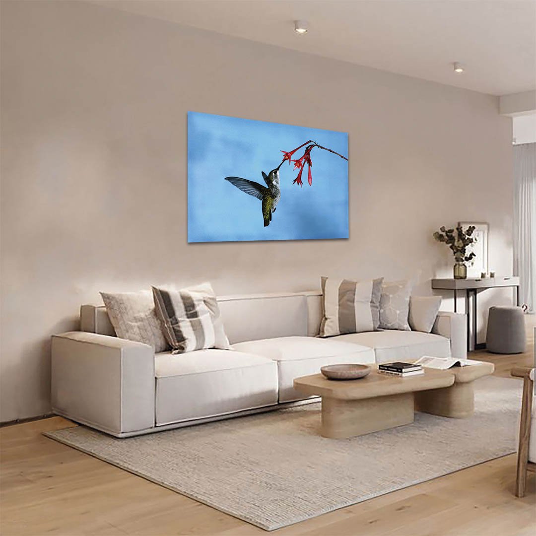 Cuadro decorativo Colibrí comiendo en flor roja fondo azul - Imagen 3