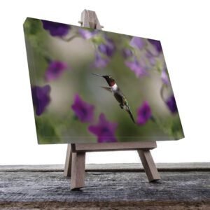 Cuadro decorativo Colibrí con flores moradas #8