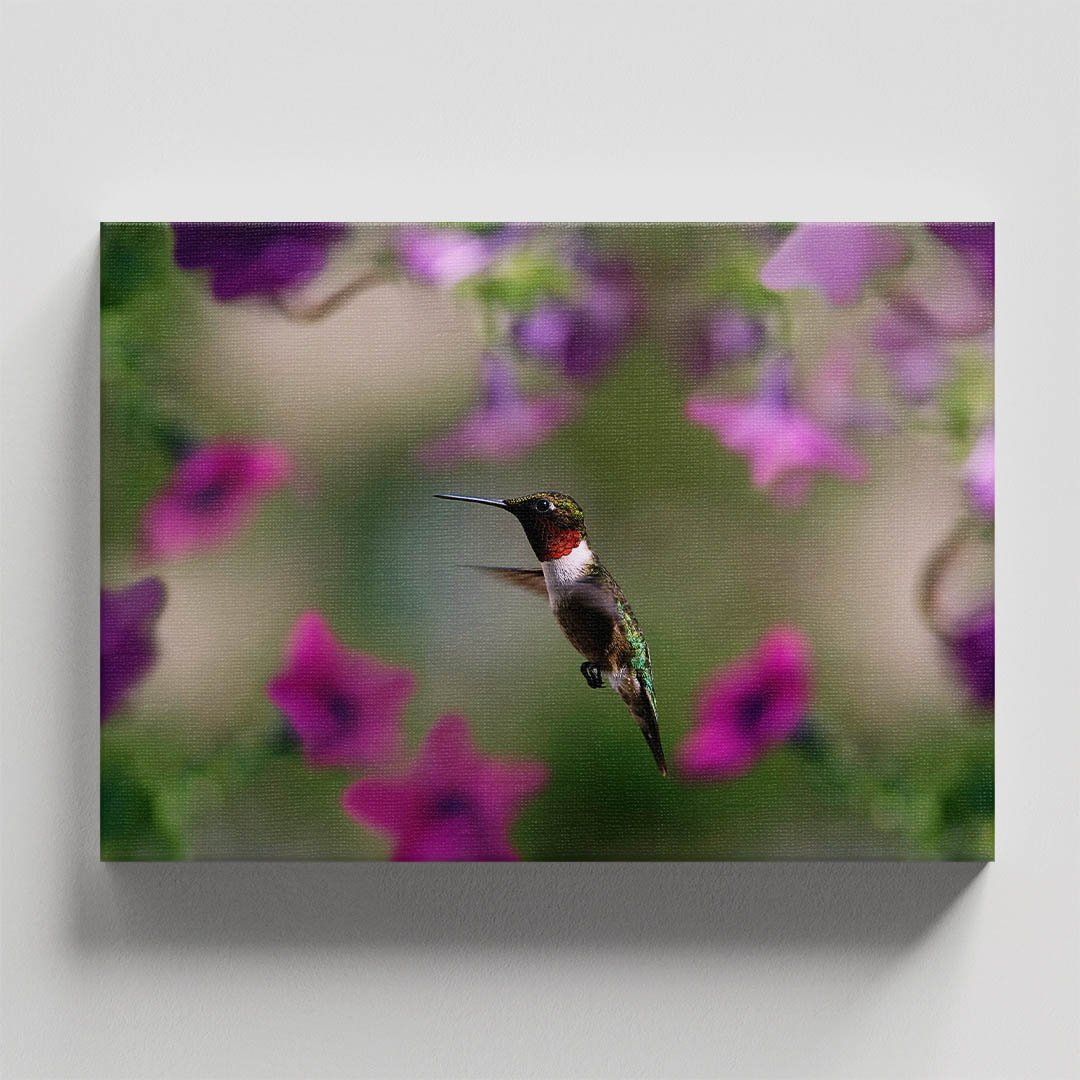 Cuadro decorativo Colibrí con flores moradas #8 - Imagen 4