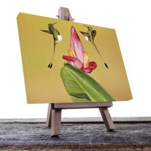 Cuadro decorativo Colibrís verdes con flor roja #9