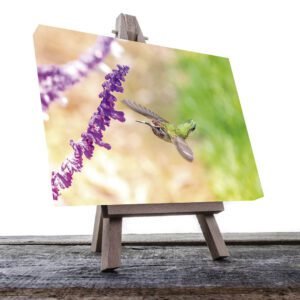 Cuadro decorativo Colibrí con flores moradas #11