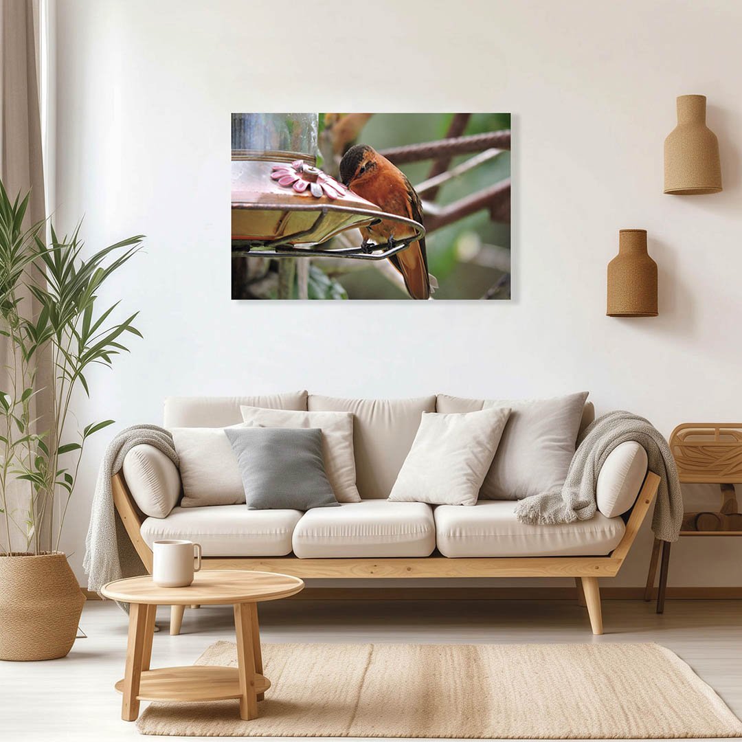 Cuadro decorativo Colibrí naranja comiendo - Imagen 2