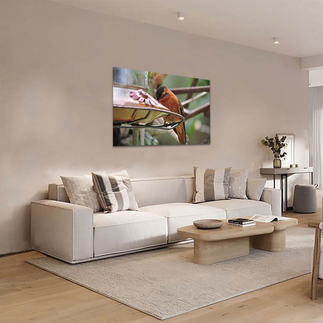 Cuadro decorativo Colibrí naranja comiendo - Imagen 3