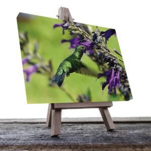 Cuadro decorativo Colibrí verde con flores moradas #18