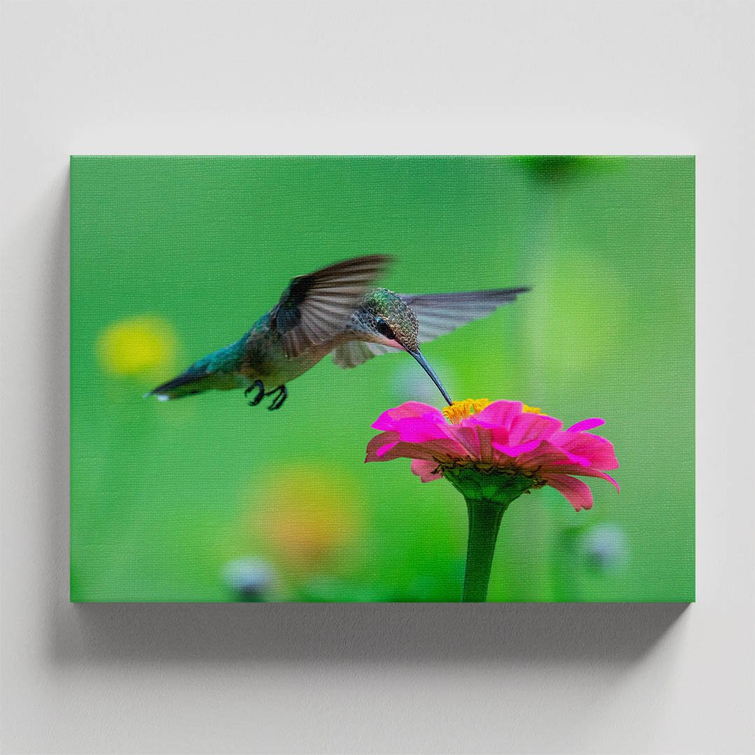 Cuadro decorativo Colibrí comiendo de flor rosa - Imagen 4