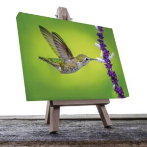 Cuadro decorativo Colibrí con flores moradas #31