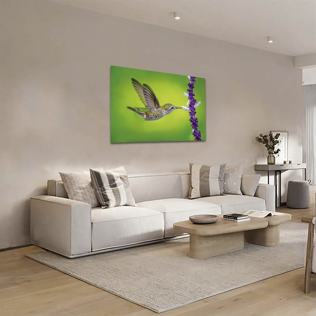 Cuadro decorativo Colibrí con flores moradas #31 - Imagen 3