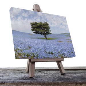 Cuadro Decorativo Holístico Árbol del la vida #1
