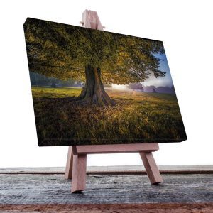 Cuadro Decorativo Holístico Árbol del la vida #2