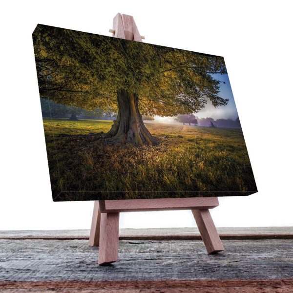 Cuadro Decorativo Holístico Árbol del la vida #2