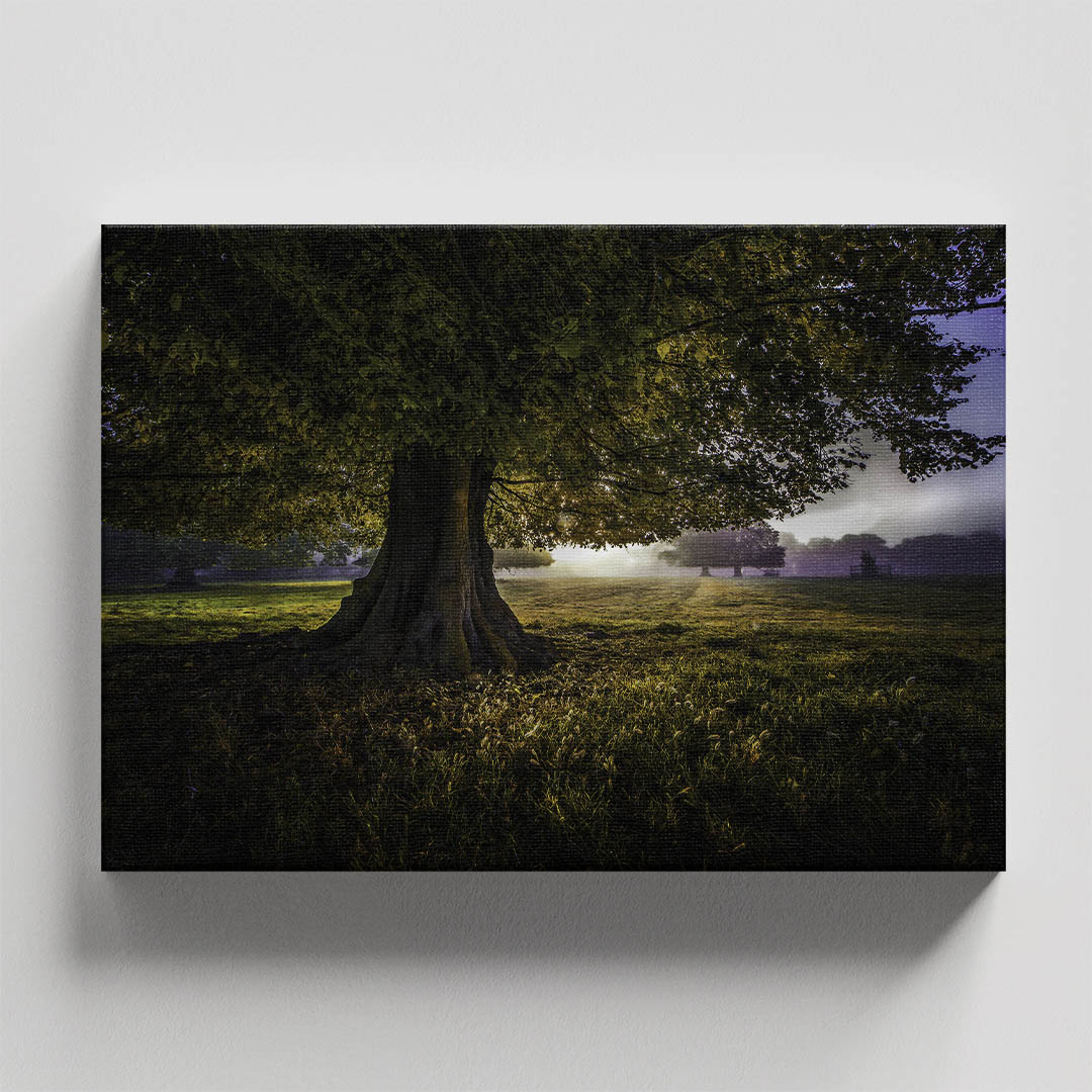 Cuadro Decorativo Holístico Árbol del la vida #2 - Imagen 4