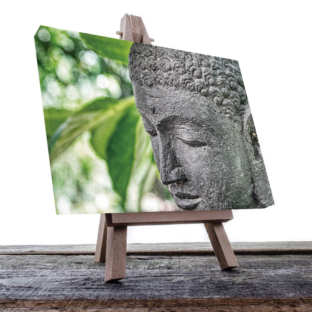 Cuadro Decorativo Holístico Buda #5